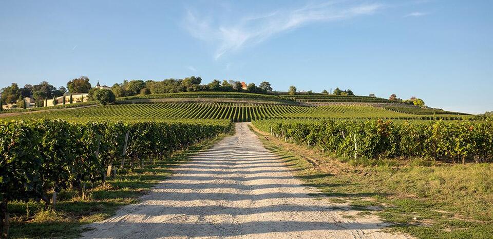 Bordeaux, profiter de la nature dans un rayon de 100 km
